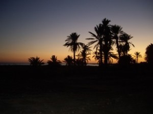 djerba2007-0094-a.jpg